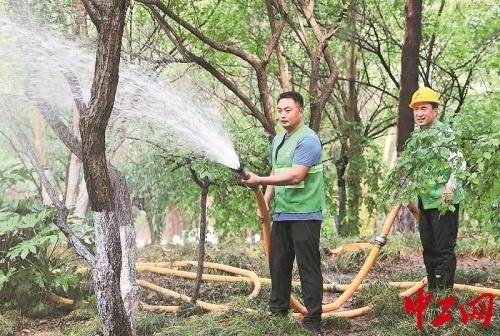 力创配资 图片故事｜从特警尖兵到园林卫士