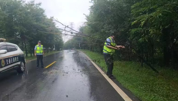 信康配资 肥西交通：守护县道安全与民生发展_大皖新闻 | 安徽网