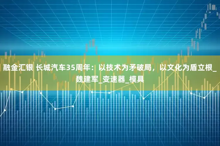 融金汇银 长城汽车35周年：以技术为矛破局，以文化为盾立根_魏建军_变速器_模具